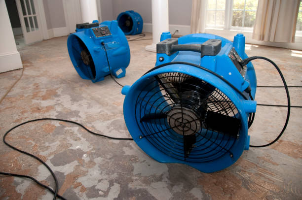 Best Water damage repair service  in Pittsburgh, PA