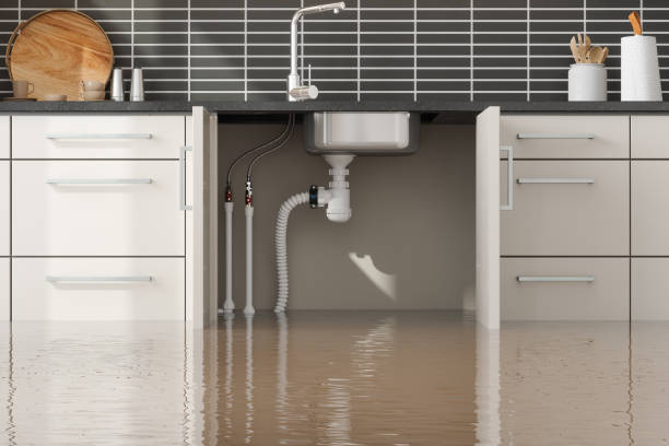 Best Fire Damage Restoration  in Pittsburgh, PA